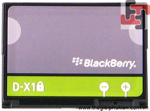 Pin Blackberry D-X1